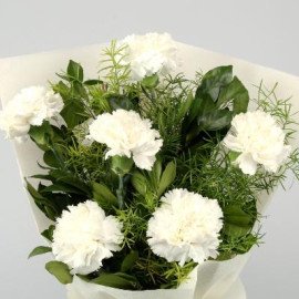 Graceful White Carnations Bunch
