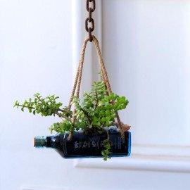 Hanging Jade Bombay Sapphire Bottle Planter