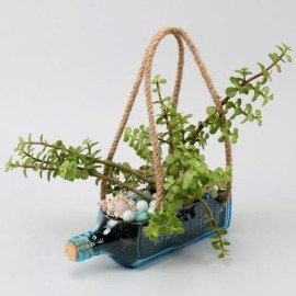 Hanging Jade Bombay Sapphire Bottle Planter