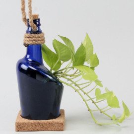Hanging Money Plant In Antiquity Bottle Planter with Coaster
