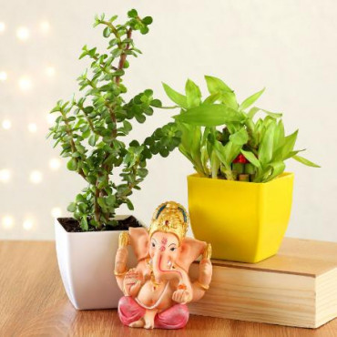 Jade & Bamboo Plant With Ganesha Idol