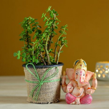 Jade Plant & Pink Dhoti Ganesha Idol