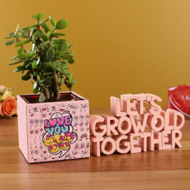 Jade Plant In Love Pink Pot With Decorative Quote