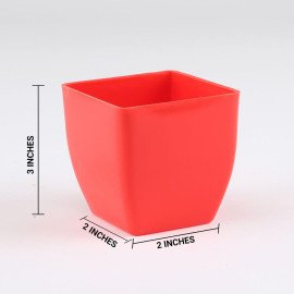 Jade Plant in Red Pot