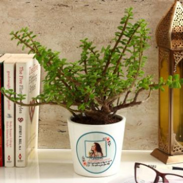 Jade Plant in White Personalised Ceramic Pot