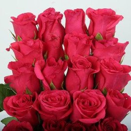 Layered Rose Arrangement