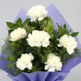 Lovely Carnations Bunch