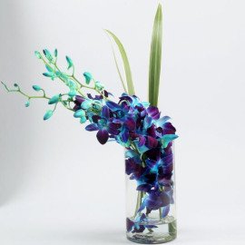 Lovely Orchids & Dandella In Cylindrical Vase