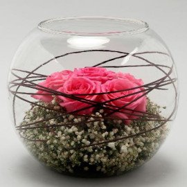 Lovely Pink Roses In Glass Vase