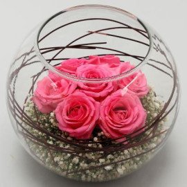 Lovely Pink Roses In Glass Vase