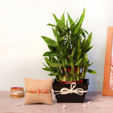 Lucky Bamboo Rakhi Set