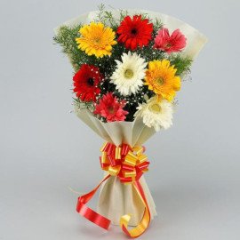 Mixed Brilliance Gerbera Blossom