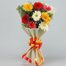 Mixed Brilliance Gerbera Blossom