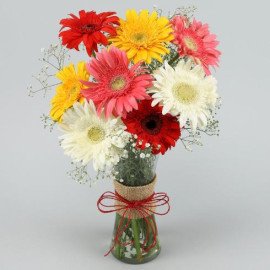 Mixed Brilliance Gerbera Vase
