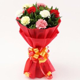 Mixed Carnations Bouquet with Green Fillers