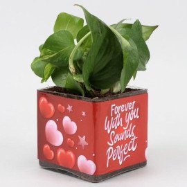 Money Plant In Forever With You Sounds Perfect Sticker Vase