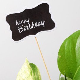 Money Plant Terrarium For Birthday