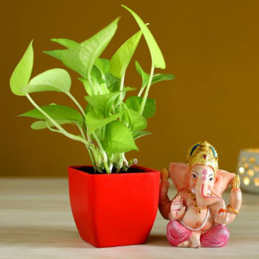 Money Plant in Red Pot & Ganesha Idol