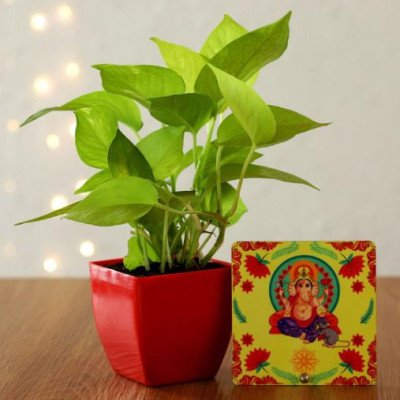 Money Plant in Red Pot Ganesha Table Top Hand Deli..