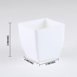 Peace Lily Plant in Imported Plastic Pot