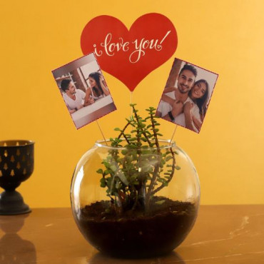 Personalised Love Jade Plant Terrarium