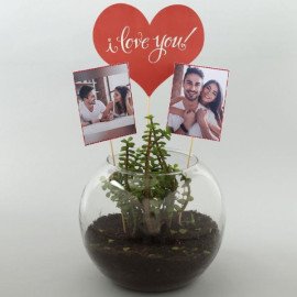 Personalised Love Jade Plant Terrarium