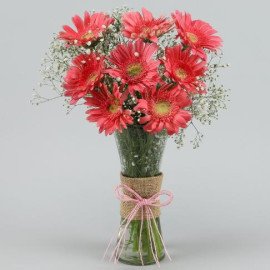 Pink Marvel Gerbera Vase