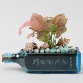 Pink Syngonium Plant In Bombay Sapphire Bottle Planter