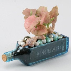Pink Syngonium Plant In Bombay Sapphire Bottle Planter