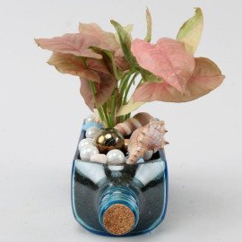 Pink Syngonium Plant In Bombay Sapphire Bottle Planter