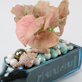 Pink Syngonium Plant In Bombay Sapphire Bottle Planter