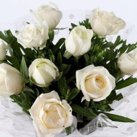 Pure Elegance 10 White Roses Bunch
