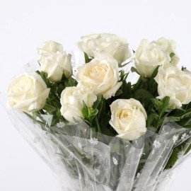 Pure Elegance 12 White Roses Bunch