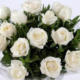 Pure Elegance 18 White Roses Bunch