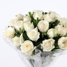 Pure Elegance 24 White Roses Bunch