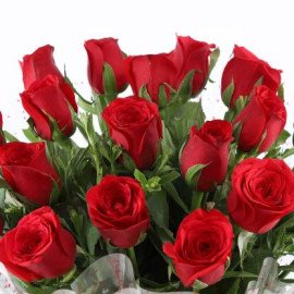 Pure Romance 18 Red Roses Bouquet