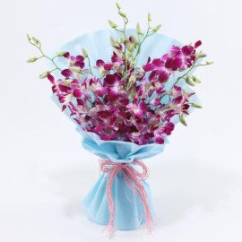 Purple Orchids