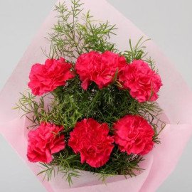 Radiant Pink Carnations Bunch