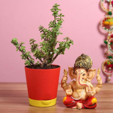 Raja Ganesha Idol Jade Plant Combo
