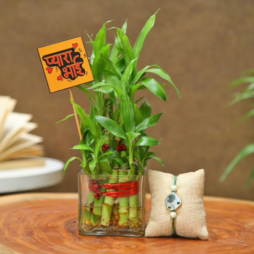 Rakhi With Bamboo Plant