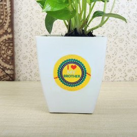 Rakhi With Five Kitkat Bars N Money Plant