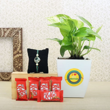 Rakhi With Five Kitkat Bars N Money Plant