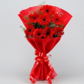 Red Elegance Gerbera Blossoms