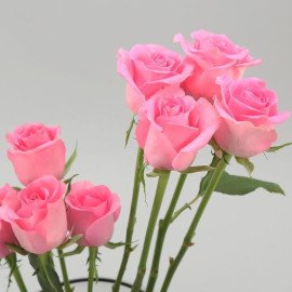 Roses and Lilies Vase Arrangement