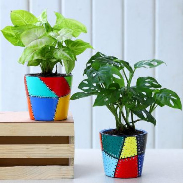 Set Of 2 Green Plants In Patch Stitch Multicoloured Pots