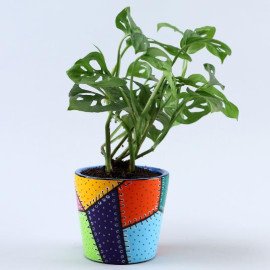 Set Of 2 Green Plants In Patch Stitch Multicoloured Pots