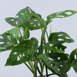 Set Of 2 Green Plants In Patch Stitch Multicoloured Pots