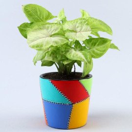 Set Of 2 Green Plants In Patch Stitch Multicoloured Pots