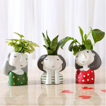 Set Of 3 Green Plants In Cute Girl Pots