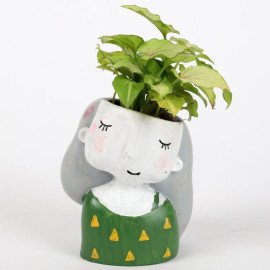 Set Of 3 Green Plants In Cute Girl Pots